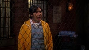 The Big Bang Theory Temporada 6 Capitulo 23