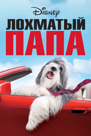 Poster Лохматый папа 2006