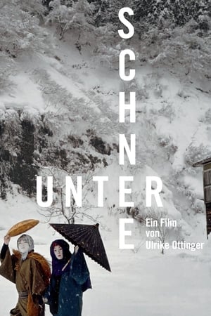 Poster Unter Schnee 2011