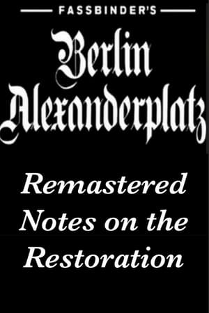 Fassbinder's Berlin Alexanderplatz Remastered: Notes on the Restoration poster