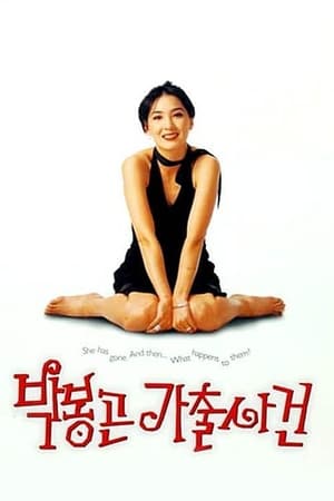 Poster The Adventures of Mrs. Park 1996