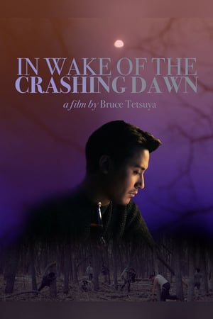 Poster In Wake of the Crashing Dawn (2020)