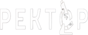 Ректор — Logos 2