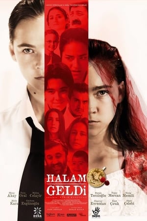 Poster Halam Geldi 2014