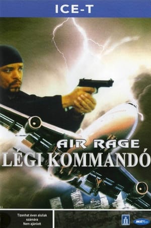 Poster Légi kommandó 2001