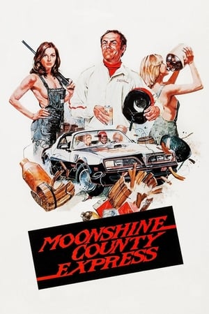 Poster Moonshine County Express 1977