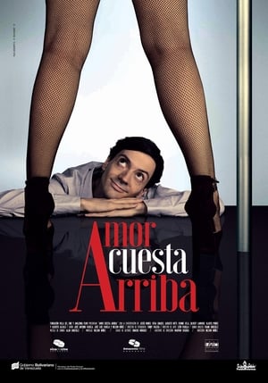 Poster Amor Cuesta Arriba 2015