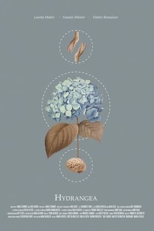 Poster Hydrangea (2021)