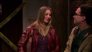 The Big Bang Theory 5X14