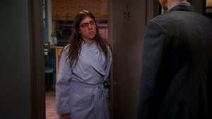 The Big Bang Theory Season 6 Episode 10