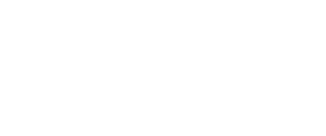 双枪李向阳
