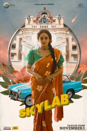 Skylab 17