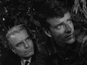 The Outer Limits: 1×21