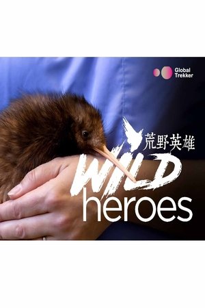 Wild Heroes movie poster