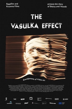 Poster The Vasulka Effect 2020