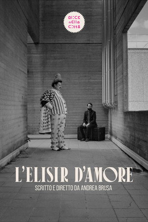L'elisir d'amore