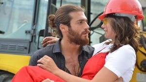 Erkenci Kuş: 1×4