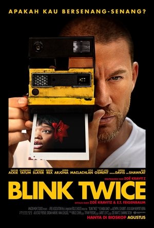 Poster Blink Twice 2024