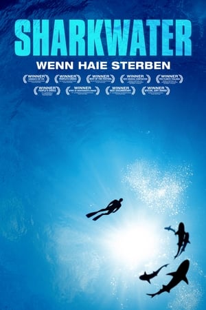 Click for trailer, plot details and rating of Sharkwater (2006)