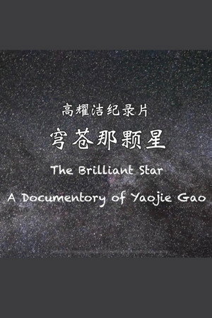 The Brilliant Star:A Documentory of Yaojie Gao