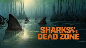 Sharks of the Dead Zone | StreamHub