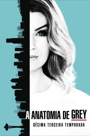 Anatomia de Grey: Temporada 13