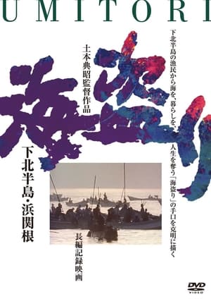 The Stolen Sea poster