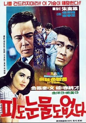 Poster Cruel Revenge (1969)