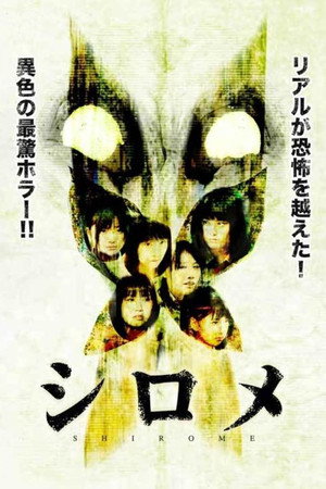 Shirome 12