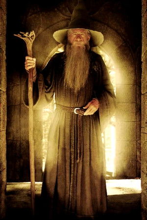 poster The Lord of the Rings: The Fellowship of the Ring