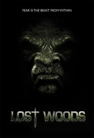 Poster Lost Woods (2012)