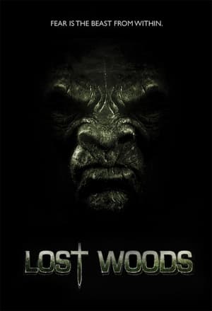 Poster Lost Woods 2012