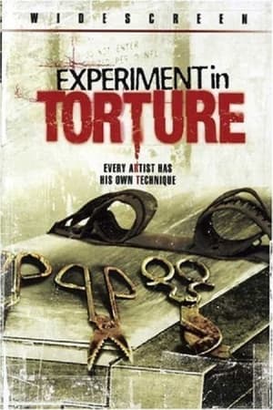 Poster Experiment in Torture (2007)