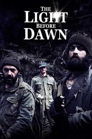 Poster The Light Before Dawn (2010)