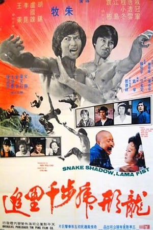 Poster Snake Shadow, Lama Fist (1979)