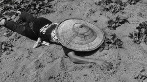 The Naked Island 34