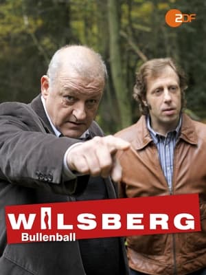 Image Wilsberg: Bullenball