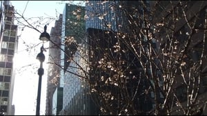 City Foliage film complet