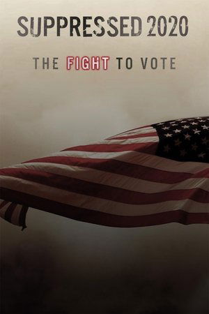 Image Suppressed 2020: The Fight to Vote