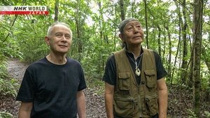 Japanology Plus: 10×11