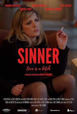Sinner poster