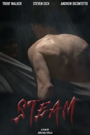 Poster Steam (2021)