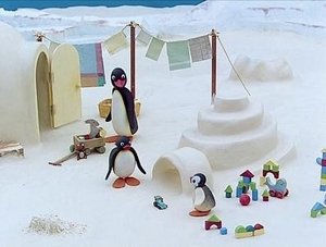 Pingu Pingu Gets Organized