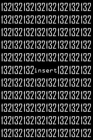 132insert132