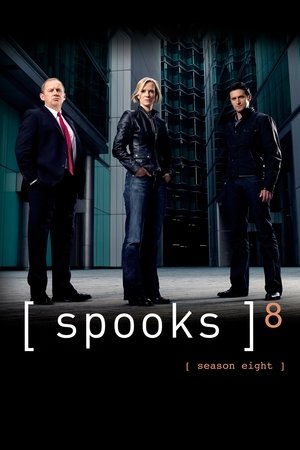 Spooks: Kausi 8