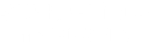 Super-Ricos na Coreia — Logos 12