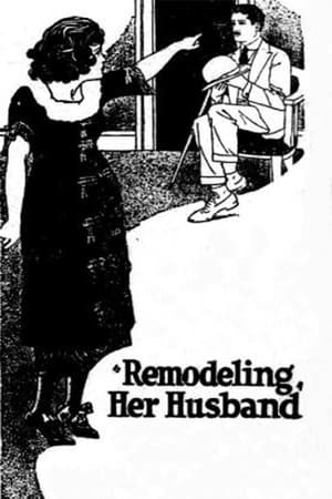 Poster Remodeling Her Husband 1920