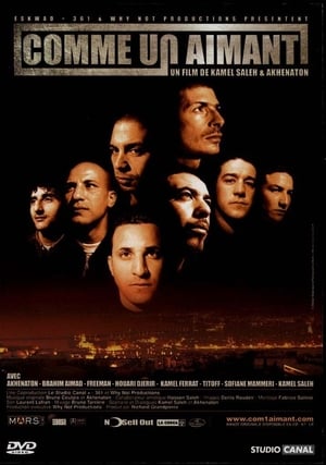 Poster The Magnet (2000)