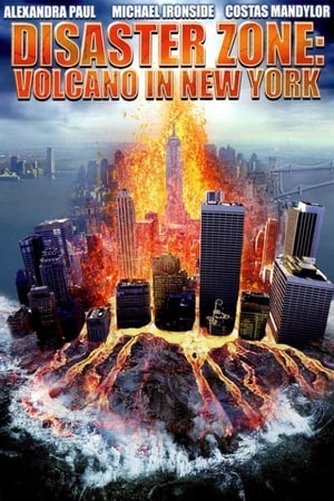 Poster Disaster Zone: Volcano in New York 2006