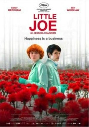 Watch Little Joe online